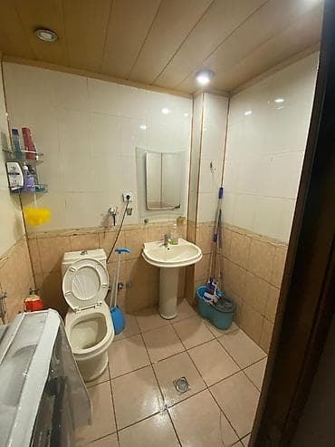 sheki kiraye evler: 1 otaga Bey veya beylə qalmaq istəyən xanım teleb olunur mənzil — 4