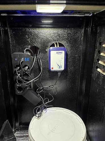 Quşlar: Hazir okean akvariumu satilir icinde dashi qumu 3 ilbizi musherom — 6