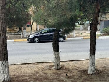 niva sekilleri cekmek: Nissan Note: 0.2 l | 2013 il Hetçbek — 5