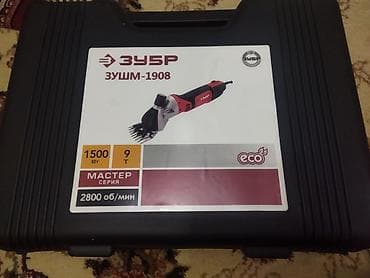 Qoyun qırxan zubr firması rus yenidən gəldi sadəcə 135 man çox istəyen