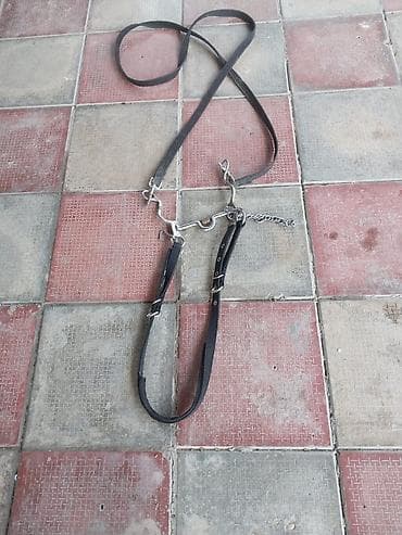 tap az at: Tam dəst at avadanlığı çox az işlənmiş Tərkib: - Dəri yəhər (klassik — 2