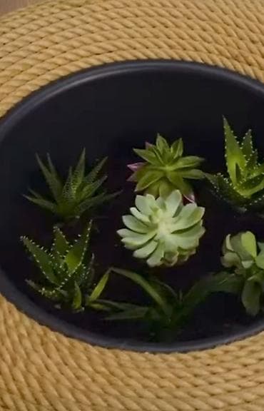 bufik: Pufik oturacaq — 4