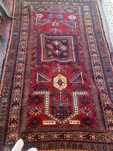 продажа комнатных растений: Ковер — 3