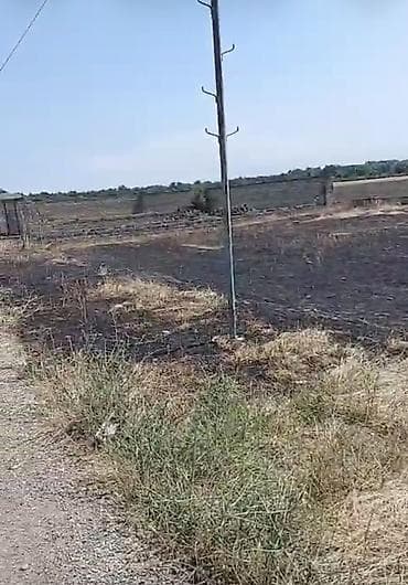 lenkeran ev alqi satqisi: 12 sot, Tikinti, Kupça (Çıxarış) — 6