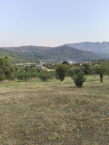 bulbulede torpaq: 40 sot, Tikinti, Mülkiyyətçi, Kupça (Çıxarış) — 4