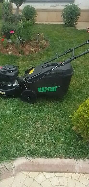 ищу работу садовник на дачу: Bağban xidməti qazon biçmək ağacların biçilməsi budanması — 4