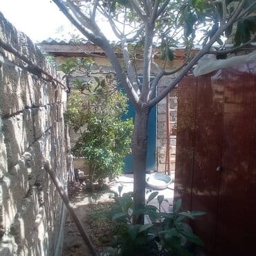 4 faizli ipotekada olan evler: Поселок Бинагади 5 комнат, 110 м², Есть кредит, Средний ремонт — 4