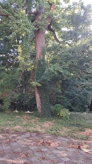 gencede ev: Bakı, 200 kv. m, 9 otaq, Hovuzsuz, Artezian quyusu, Kommunal xətlər qoşulmayıb, Qaz — 6