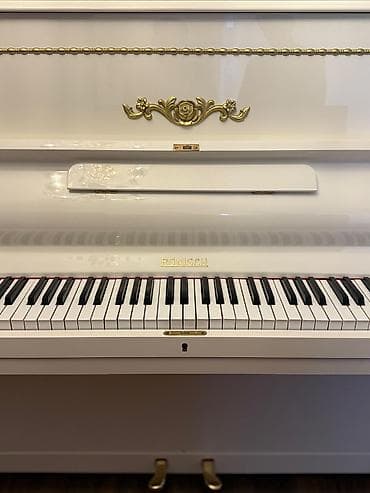 musiqi aleti: Piano, Rönisch, Akustik — 4