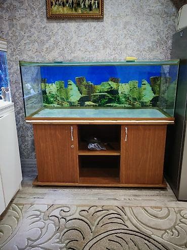 it yemi: Akvaryum və şkaf dəsti(130x50x50) Şüşə 10-luqdur, şkafın qapağıda var — 2