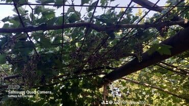 ismayıllıda satılan evlər: 6 otaqlı, 150 kv. m, Orta təmir — 19