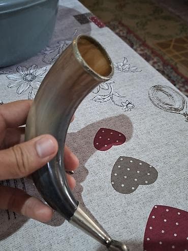 Buynuzlar: Təbii buynuzdan hazırlanmış dekorativ içki buynuzu (cütlük — 3