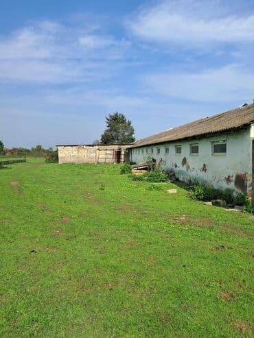 bağ evi satışı: Kənd təsərrüfatı — 2