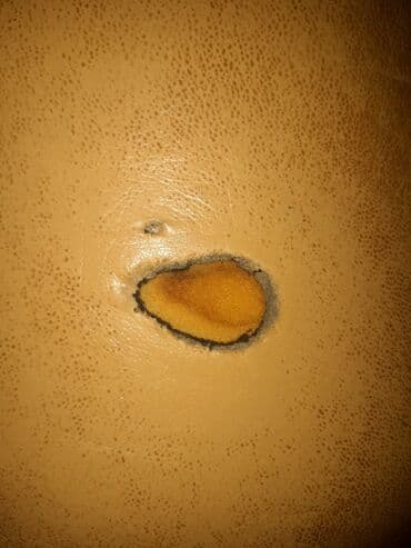 açılıb bağlanan stul: Kreslo, Parça, Kredit yoxdur, Çatdırılma yoxdur — 3