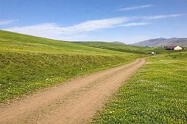 zirədə torpaq satılır: 96 sot, Maklerlər narahat etməsin, Kupça (Çıxarış) — 2