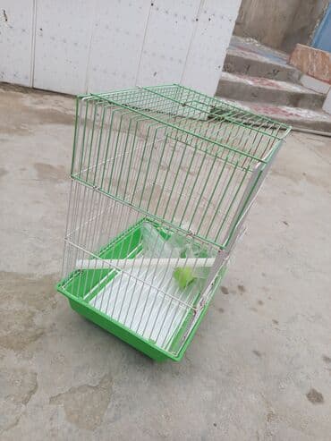 danişan quş: Quş qəfəsləri – müxtəlif rəng və komplektasiyalarda Məhsul təsviri: - — 3