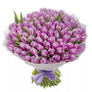 geran gul: M, sarı) və qarışıq rəng kombinasiyaları. - Sıx və həcimli — 2