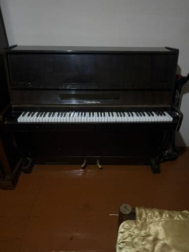 деревянные духовые музыкальные инструменты: Piano, Akustik — 1