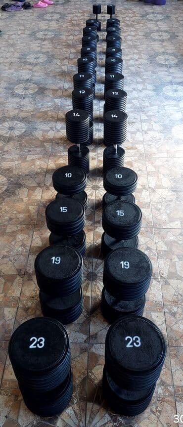 8 ci sinif riyaziyyat dim pdf yukle: HAL HAZIRDA QİYMET CEDVELİ. 1 eded 5 kq qantel 7 azn 2 eded 5 kq — 6