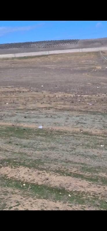 torpaq xacmaz: Kənd təsərrüfatı, Barter mümkündür — 4