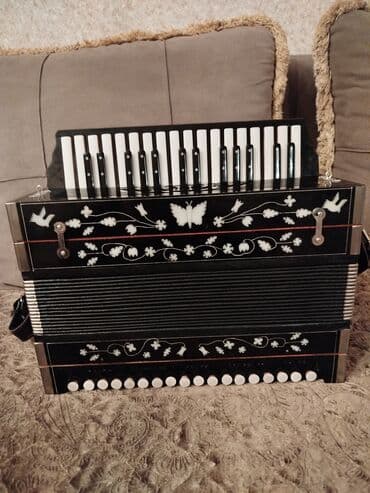 ovculuq və balıqcılıq: Akustik Akkordeon, Yeni — 4