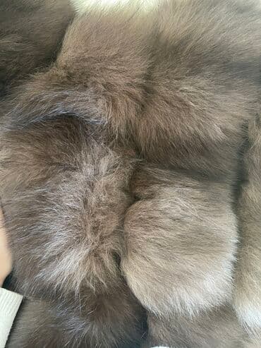 Cinslər: Kürklər — 2