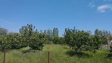 продажа дачных участков в баку: Для строительства — 4