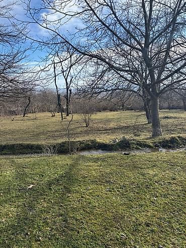 Satılır: Torpaq sahəsi və kənd evi kompleksi - Geniş, düz relyefli