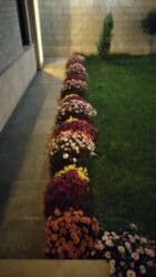 купить дом в шаганах: 4 otaqlı, 180 kv. m, Kredit yoxdur, Yeni təmirli — 13