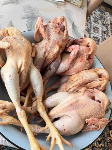 Çaydanlar: Təbii kənd xoruzu – təmizlənmiş, bütöv şəkildə. Məhsul — 1