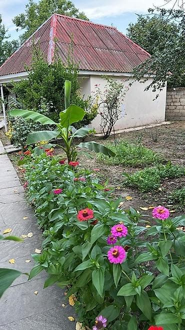4 otaqli evler: Katedjdar nabranda denize 5 deyeqe yol — 1