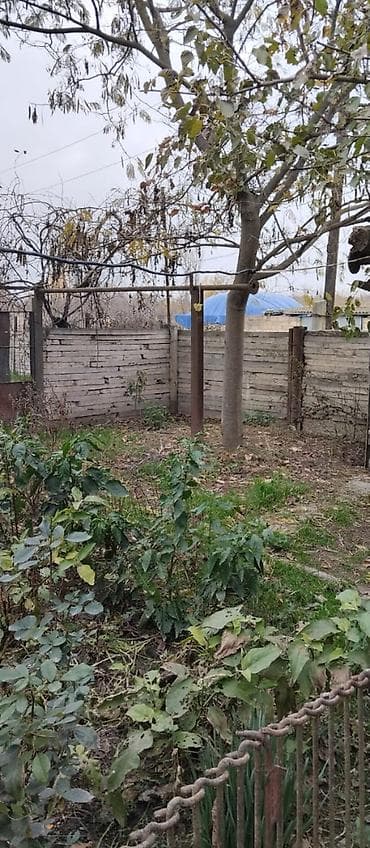 bine atciliq satilan evler: 36 sot, Kənd təsərrüfatı, Mülkiyyətçi, Kupça (Çıxarış) — 3
