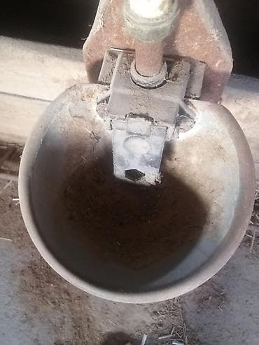 Ferma üçün avto-sulamaq qabı (südlük/heyvan su qabı) - Divara/bara