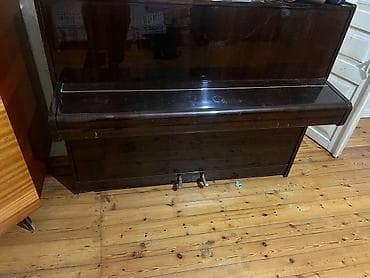 Digər mebel: 500 — 1