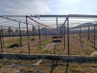 istixana ucun polietilen ortuklər: Metall istixana karkası və dam örtüyü konstruksiyası - Material — 2