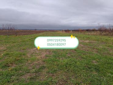 bakı torpaq satışı: 155 sot, Kənd təsərrüfatı, Mülkiyyətçi, Kupça (Çıxarış) — 4