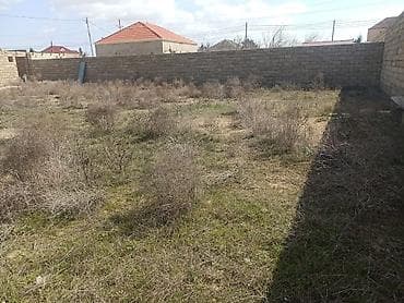 torpaa: 5 sot, Tikinti, Kupça (Çıxarış) — 4