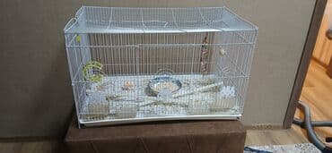 клетка для попугая купить: Böyük ölçülü quş qəfəsi - Material: metal barmaqlıqlar, alt hissə — 2