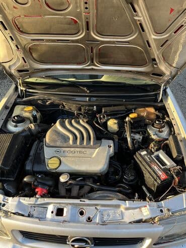 qosqu satilir: Opel Astra: 1.6 l | 1997 il 356254 km — 7