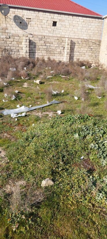 ev masazir: Tikinti — 7