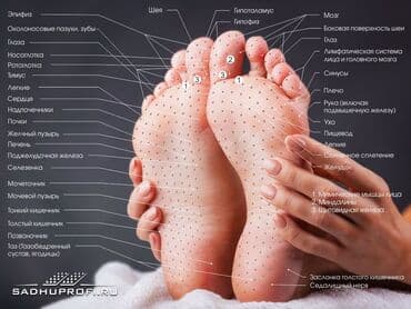 массажер для ног баку: Массажер, Акупунктурный, Для тела — 4