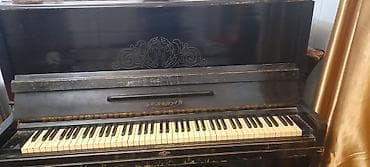 Piano, Belarus, Akustik