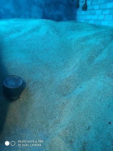 Məhəccərlər: Rəng - Sarı Digər təyinat Qum — 2