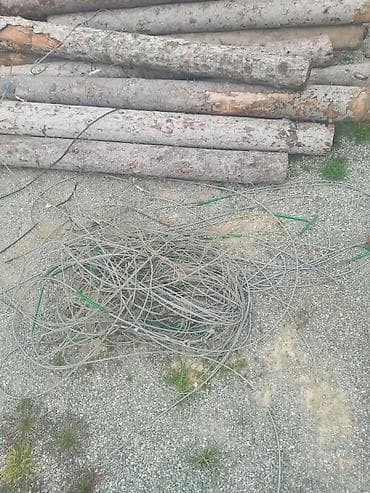 Məhsul: Taxta dirəklər və polad tros məftilləri Təsvir: - Müxtəlif at lalafo.az Məhsul: Taxta dirəklər və polad tros məftilləri Təsvir: - Müxtəlif