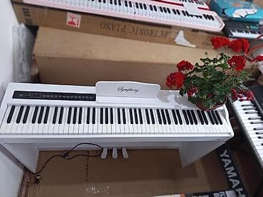 piano dərsləri: Piano, Rəqəmsal, Yeni, Pulsuz çatdırılma — 4