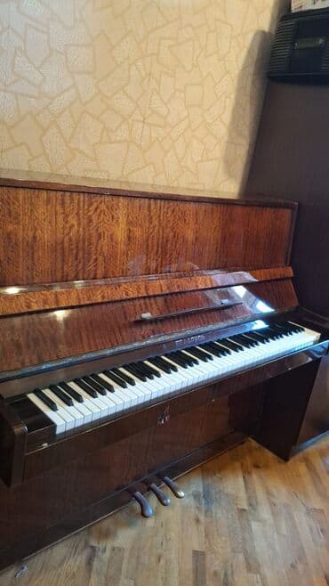 Piano, Belarus, Akustik