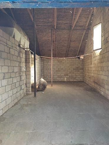 beyleqanda torpaq satilir: 36 sot, Biznes üçün, Mülkiyyətçi, Kupça (Çıxarış), Bələdiyyə — 7