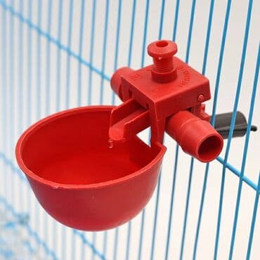 çöl ördeyi: Su qabi ▪️Avtomatik su qablari Toyuq-cücə, bildirçin, ordək, qaz ve — 2