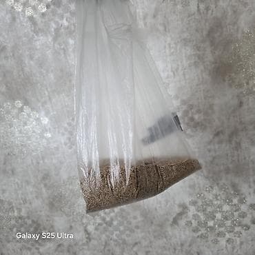 danışan quşlar: Nymph (kakadunimf) tutuquşusu (erkek ile disi), iri qəfəs və — 3