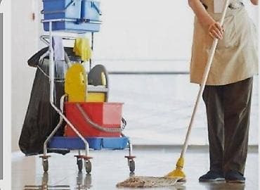 ev temizliyi: Təmizlik | Gündəlik təmizlik — 1